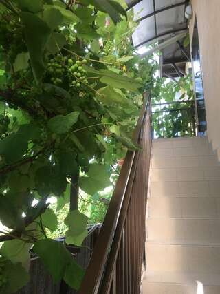 Гостиница Антонина Адлер Номер-студия с диваном-кроватью-6